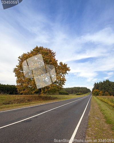 Image of the autumn road  