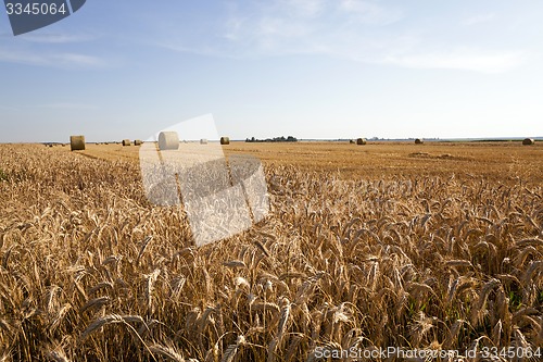 Image of agricultural field  