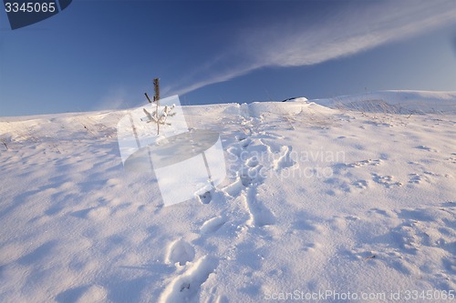 Image of snow-covered field  