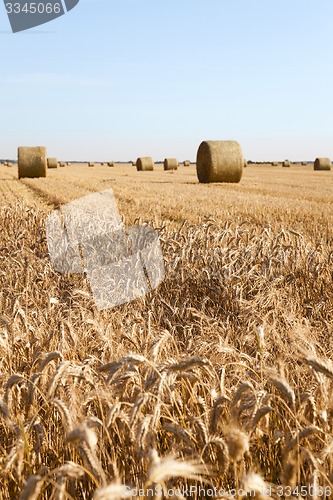 Image of agricultural field  