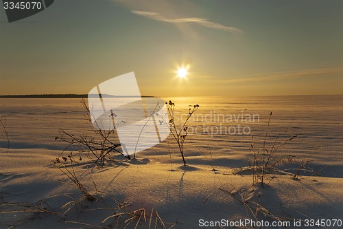 Image of winter field  
