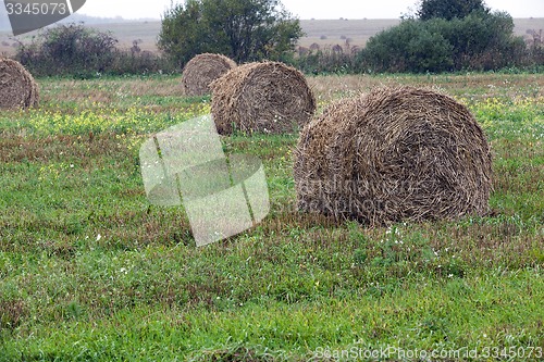 Image of straw stack 