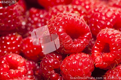 Image of ripe raspberry  