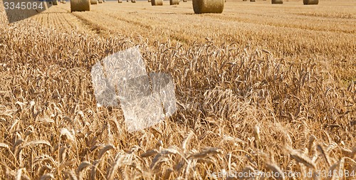 Image of agricultural field 