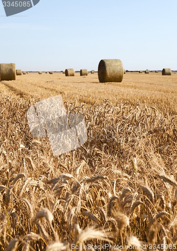 Image of agricultural field  