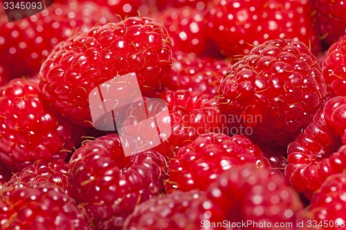Image of ripe raspberry 
