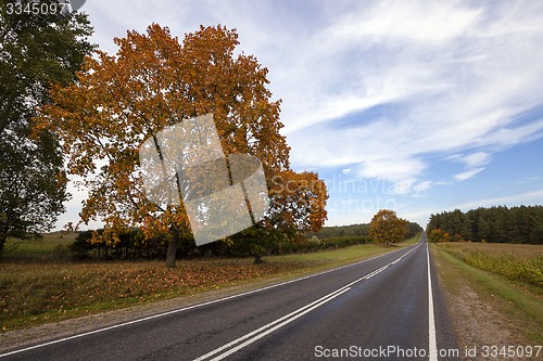 Image of the autumn road  