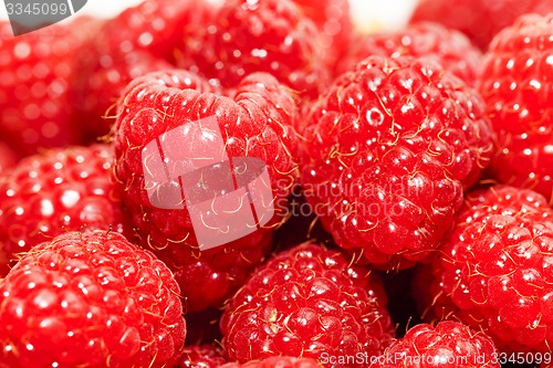 Image of raspberry  