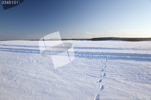 Image of snow covered field  