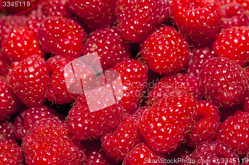 Image of raspberry  