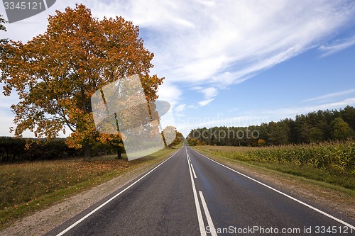 Image of the autumn road  