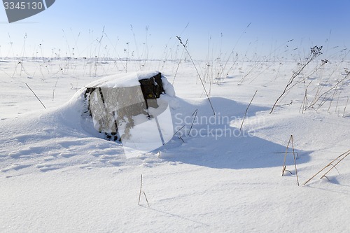 Image of stump under snow  