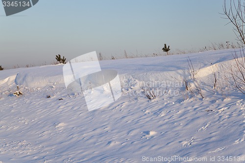 Image of snow-covered field    