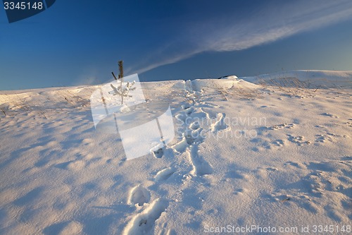 Image of snow-covered field  