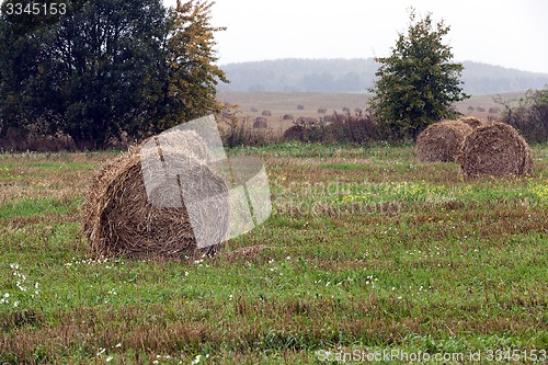 Image of straw stack  