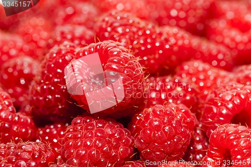 Image of raspberry  