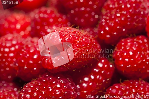 Image of ripe raspberry  