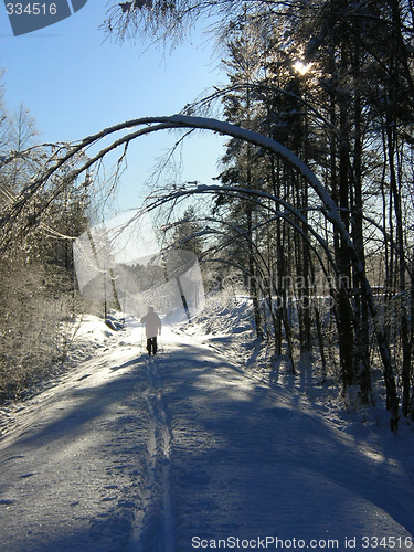 Image of Snowportal