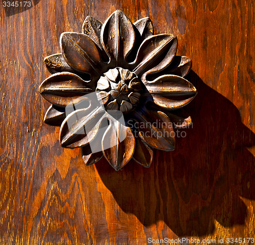 Image of abstract flower brass brown knocker  varese italy