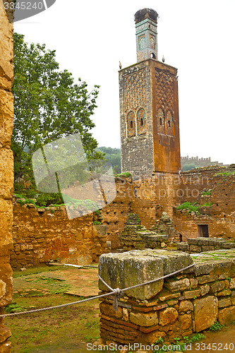 Image of chellah  in        africa the old roman deteriorated      and si