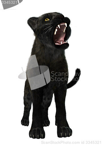 Image of Black Panther