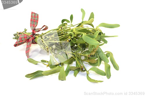 Image of Mistletoe with berries and ribbon