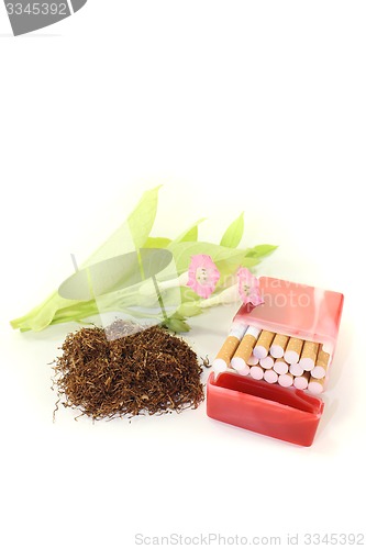 Image of Tobacco with cigarettes case, leafs and blossoms