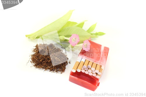 Image of Tobacco with cigarettes case