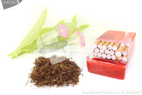 Image of Tobacco with cigarettes case and blossoms