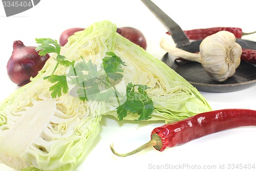 Image of pointed cabbage with parsley