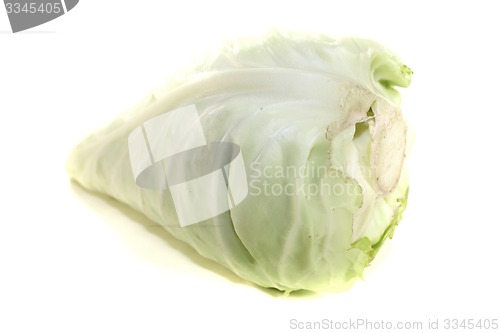 Image of green sweetheart cabbage