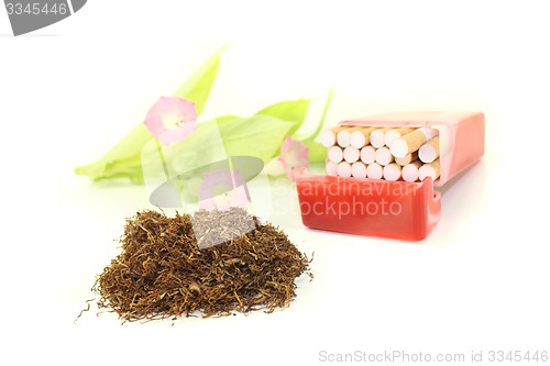 Image of Tobacco with cigarettes case and plant