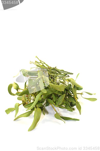 Image of green Mistletoe with berries