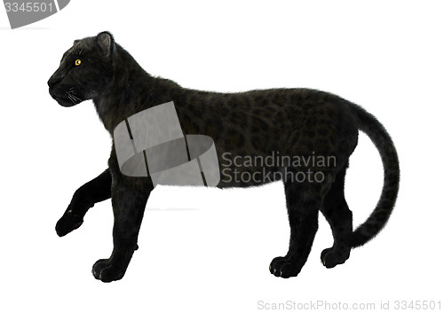 Image of Black Panther