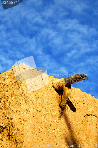 Image of africa in morocco the metal water pipe