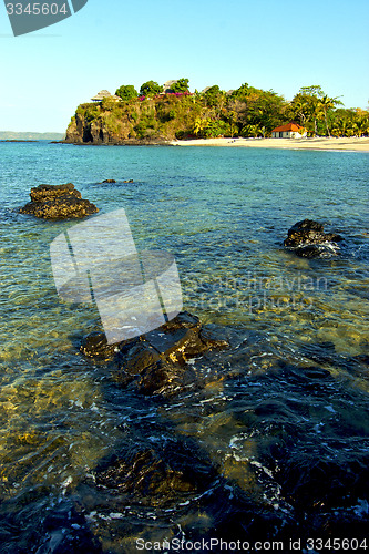 Image of     madagascar    andilana beach seaweed in indian   house