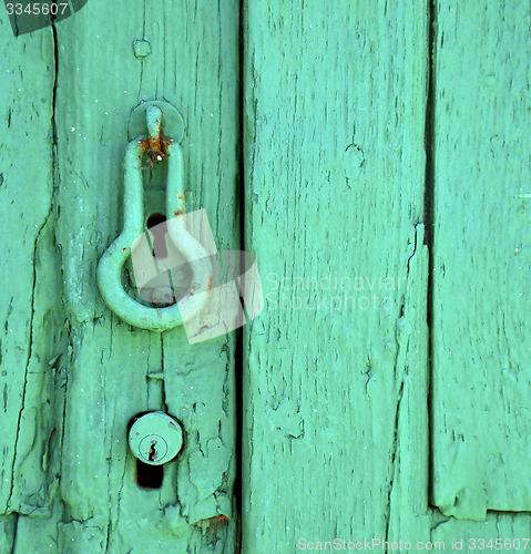 Image of canarias  brown knocker in a green 