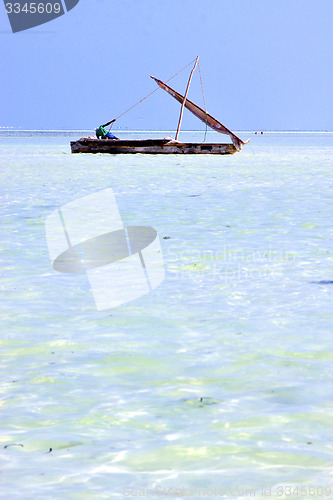 Image of beach   in zanzibar seaweed  indian ocean tanzania     sailing