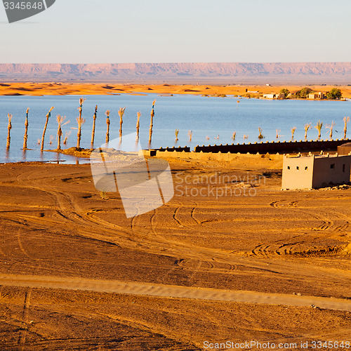 Image of sunshine in the lake yellow  desert of morocco sand and     dune