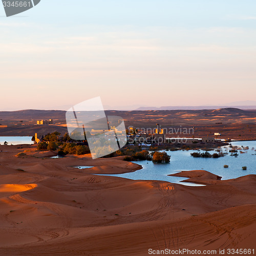 Image of sunshine in the lake yellow  desert of morocco sand and     dune