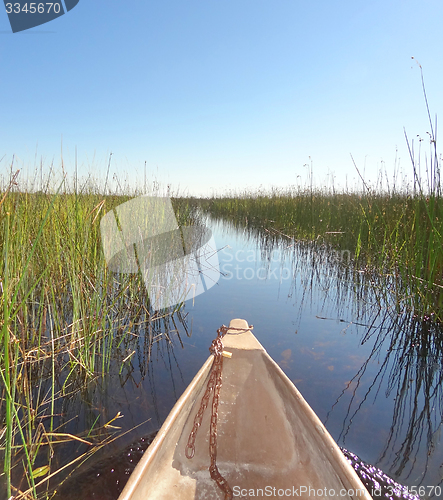 Image of Okavango Delta