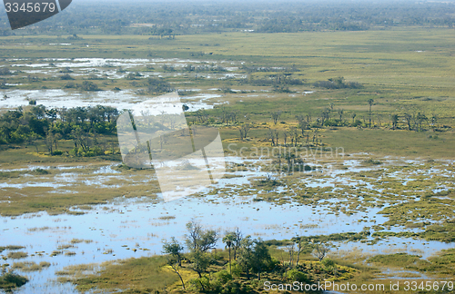 Image of Okavango Delta