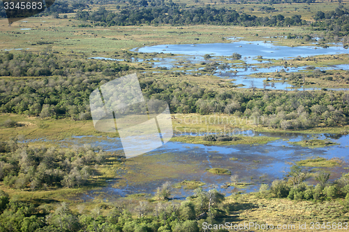 Image of Okavango Delta