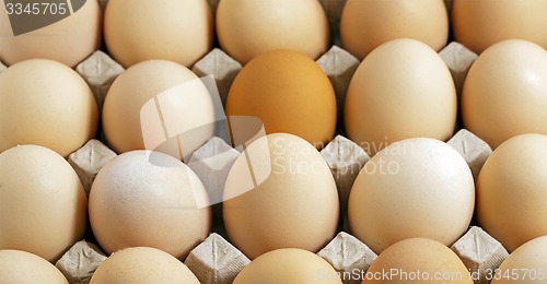 Image of eggs (close up)  