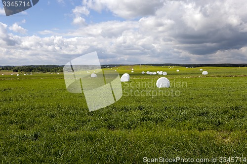 Image of the packed grass  