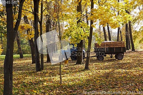 Image of cleaning of foliage in park 