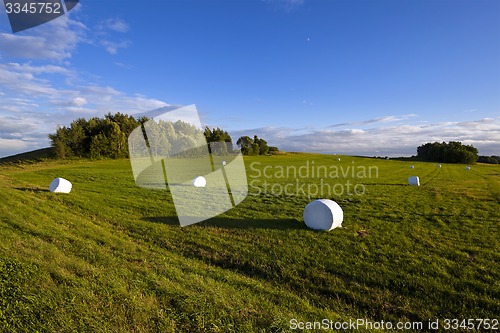 Image of packed grass  