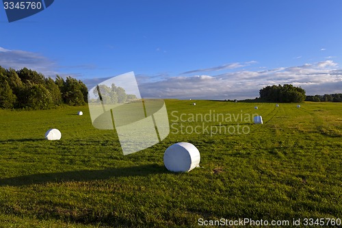 Image of packed grass 