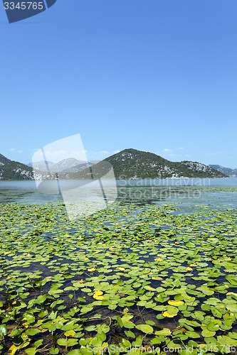 Image of the lake .Montenegro