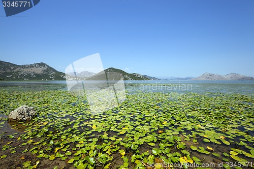 Image of the lake   